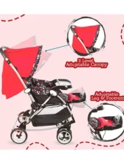 Rocking stroller1