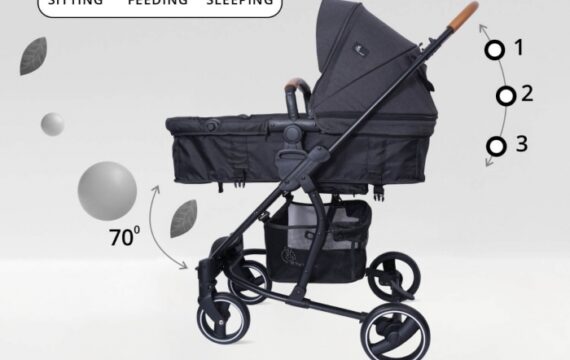 Paradise Stroller - 2 in 1 Baby Stroller Cum Carry Cot, 3 Position Recline System, Canopy - Image 2